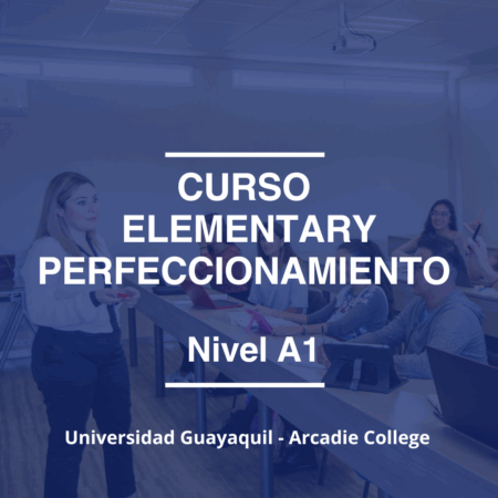 CURSO ELEMENTARY PERFECCIONAMIENTO